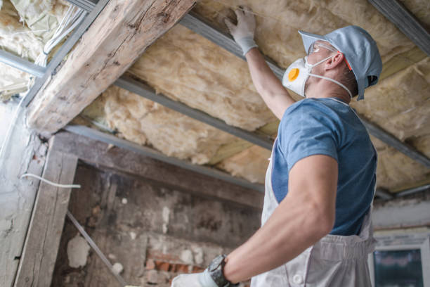 Reliable Roeland Park, KS Insulation Contractor Solutions