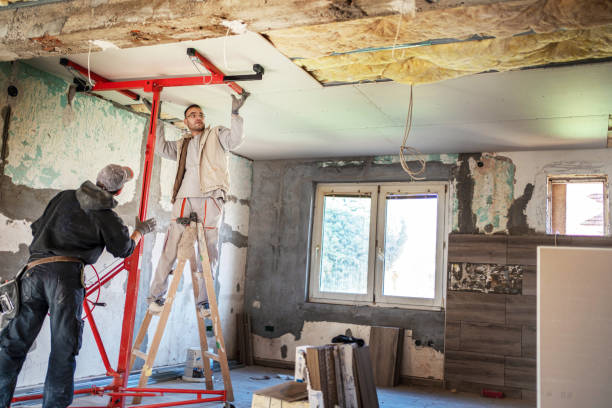 Best Specialized Insulation Services in Roeland Park, KS